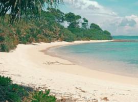 MALLICK PALACE Neil Island South Andaman，位于尼尔岛的酒店