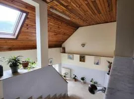 Katolički školski centar Petar Barbarić