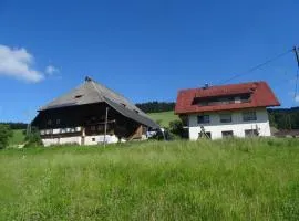 Hinterbauernhof Fewo Pferdeglück