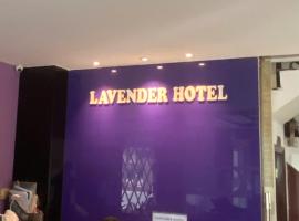 Lavender Garden Hotel，位于胡志明市第四郡的酒店