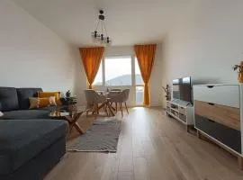 Apartament Aleksandar Premium