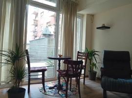 Apartman Dimitrijala 52，位于Zvezdara的酒店