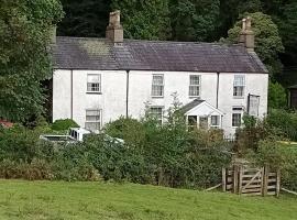 Red Dragon Cottages nr Mt Snowdon，位于贝德格勒特的酒店