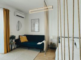 Vibrant Studio，位于蒂米什瓦拉的宠物友好酒店