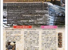 Hotel Kaguya，位于姬路的酒店