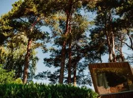 Tiny Houses & Schwedenhäuser Ahoi Camp Canow