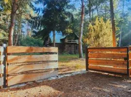 Dzwonkarnia Wyjątkowy domek w lesie