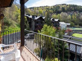 Aparthotel AnyosPark Mountain & Wellness Resort，位于安尼欧斯的度假村