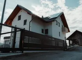 Apartmaji Laznik