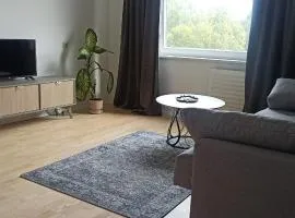New green Vilnius Apartamentai