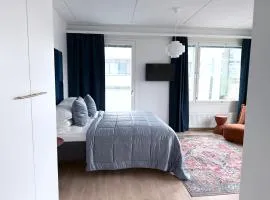 Spacious Railway Station Apartment with sofabed for kid or adult
