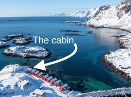 Cabin in Lofoten with spectacular view，位于巴尔斯塔的酒店