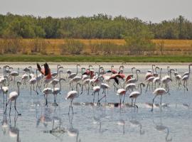 Casa Rural Romero，位于Villacañas的酒店