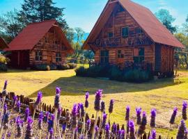 Caba&ntilde;as La Palma，位于Mineral de Angangueo的木屋