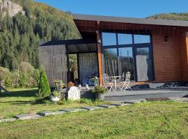 Casuta de sub stanca Apuseni cu hot tub si sauna，位于Bîrdeşti的酒店