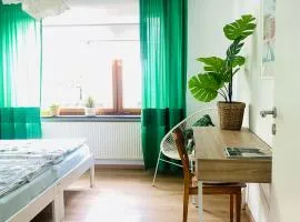 Eifel-House - FeWo