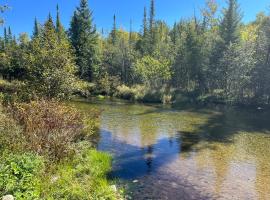 Sleeping Bear Riverside Cabins，位于Honor的酒店