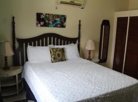 Cozy Deluxe 2BR Kensington New Kingston，位于金斯敦的酒店