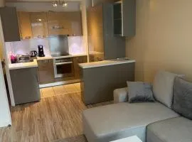 Charmant F2 à 20 min de Paris