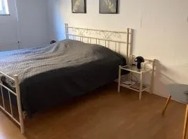Bed minus breakfast Den hyggelige kælder