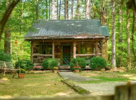 Garden Cabin，位于纳什维尔的酒店