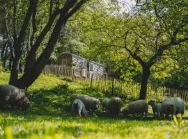 Somerset Shepherds Huts