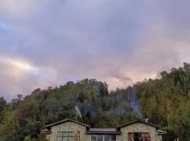 Rincón de las ranitas