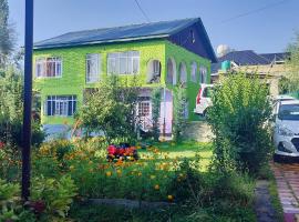 Elizabeth paying guest house Tangmarg gulmarg，位于古尔马尔格的酒店