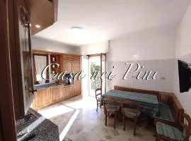 Casa nei pini