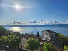 Hôtel Savoie Léman，位于托农莱班的酒店