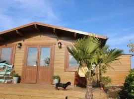 The Cabin Pipershill