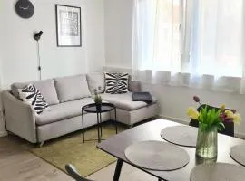 Modernes zentrales Apartment