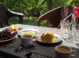 Green leaf guest house