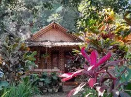 anik homestay & dormy Batukaras