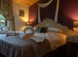 Chinchilla Lodge