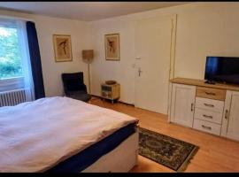 Espace sauna, jacuzzi, terrasse，位于日内瓦的酒店