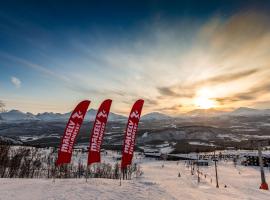 Målselv Fjellandsby - Cabins，位于巴杜弗斯的酒店