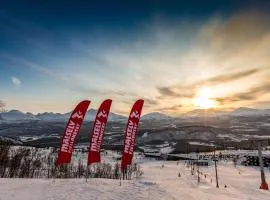 Målselv Fjellandsby - Cabins