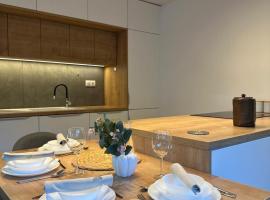 Vila Šenčur，位于森克的酒店