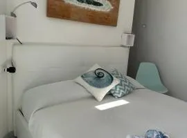 La conchiglia di susy