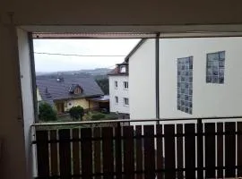 Große Komfortable Monteurswohnung