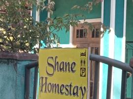 Shane HomeStay，位于哈顿的乡间豪华旅馆