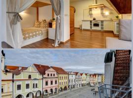 Apartmány Třeboň BÍLÝ BERÁNEK，位于特热邦的酒店