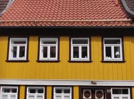 Ferienhaus Salamander inkl Sauna