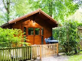 Huisdiervriendelijk houten huisje in het groen