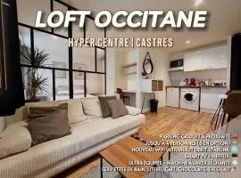 Loft Occitane Hyper Centre Castres