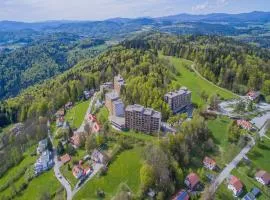 Appartement Serges mit Pool und Sauna in Freyung