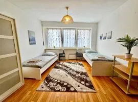 Work & Stay Apartment in Biebelnheim