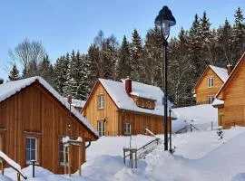 Ferienhäuser im Schierke Harzresort, Schierke