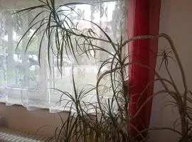 Privatzimmer Berlin